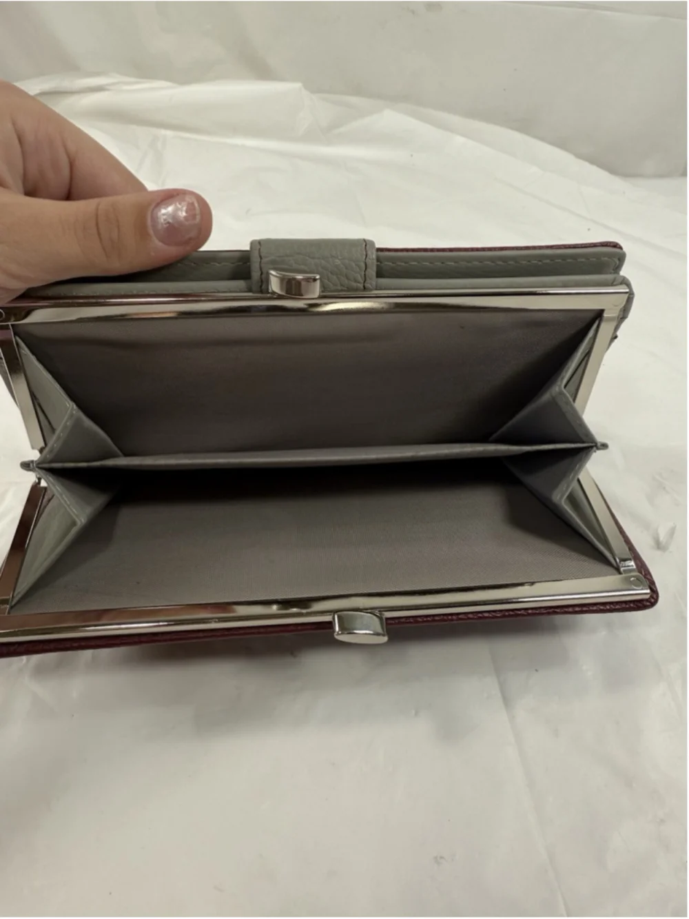 Mundi Rio Frame Genuine Leather Wallet